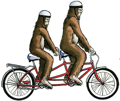 Join Our Email List For News Of Our Art Craft Markets, - Bicycle (400x335)