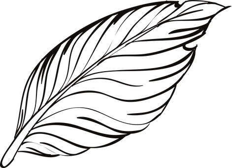 Stift, Federn, Vogel, Tier, Schöne - Cafepress Psalms Iphone 6/6s Tough Case (471x340)