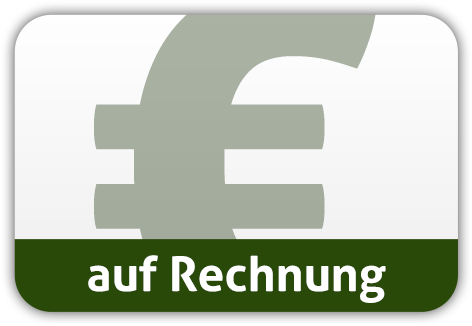 Bezahlen Mit Paypal Kauf Auf Rechnung - Advance Payment (512x366)