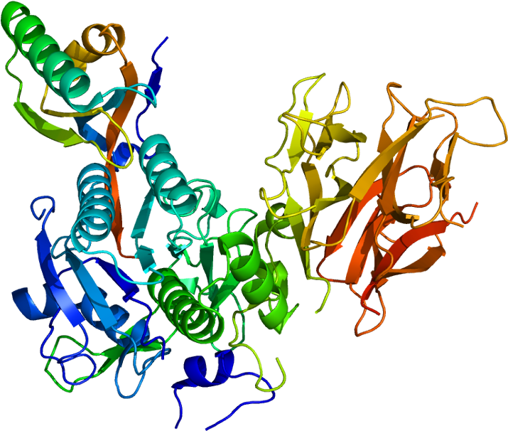 Why Drugs Are Expensive - Galntransferase (764x655)