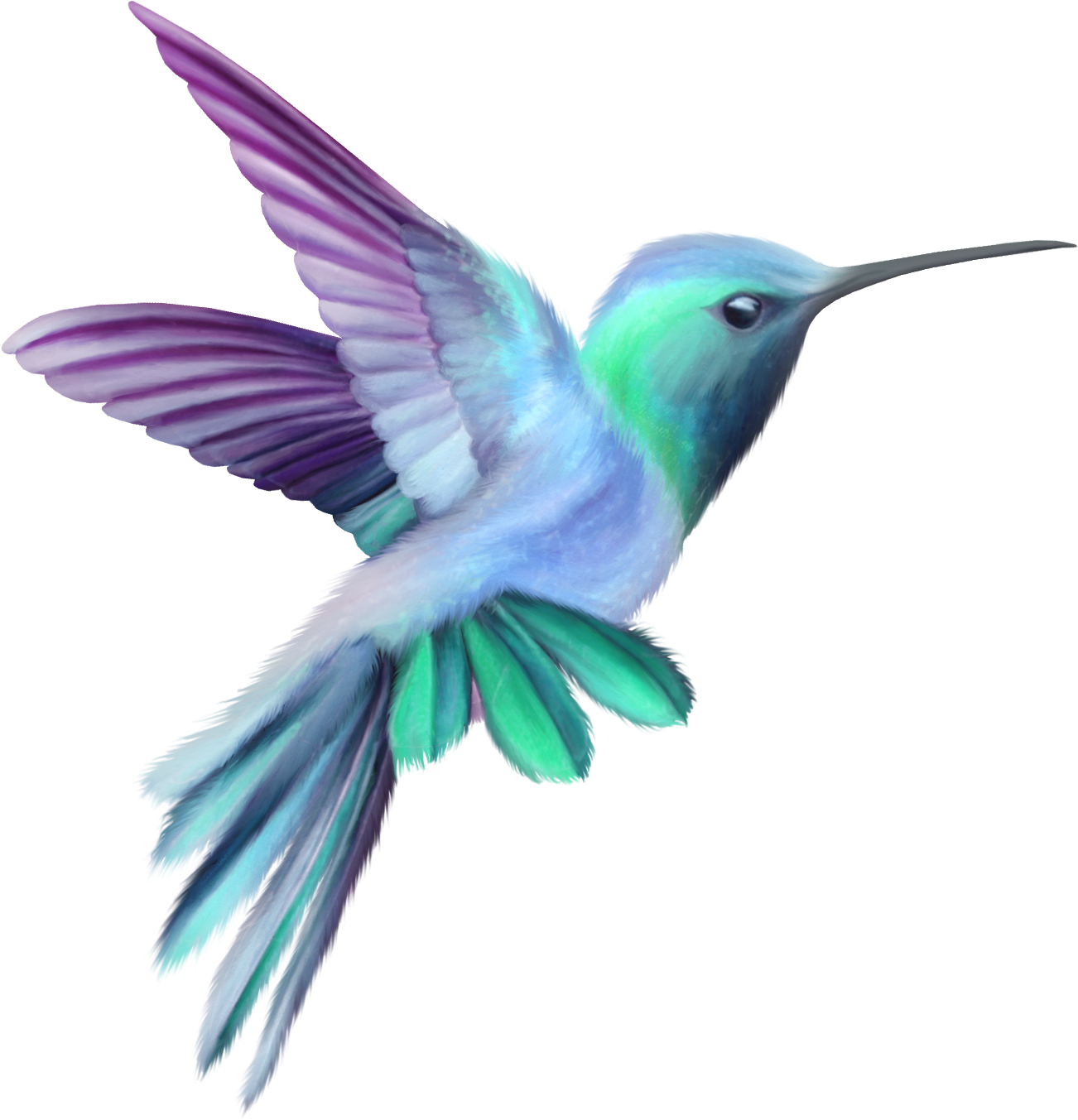 Image Result For Hummingbird - Hummingbird Clipart (1363x1373)