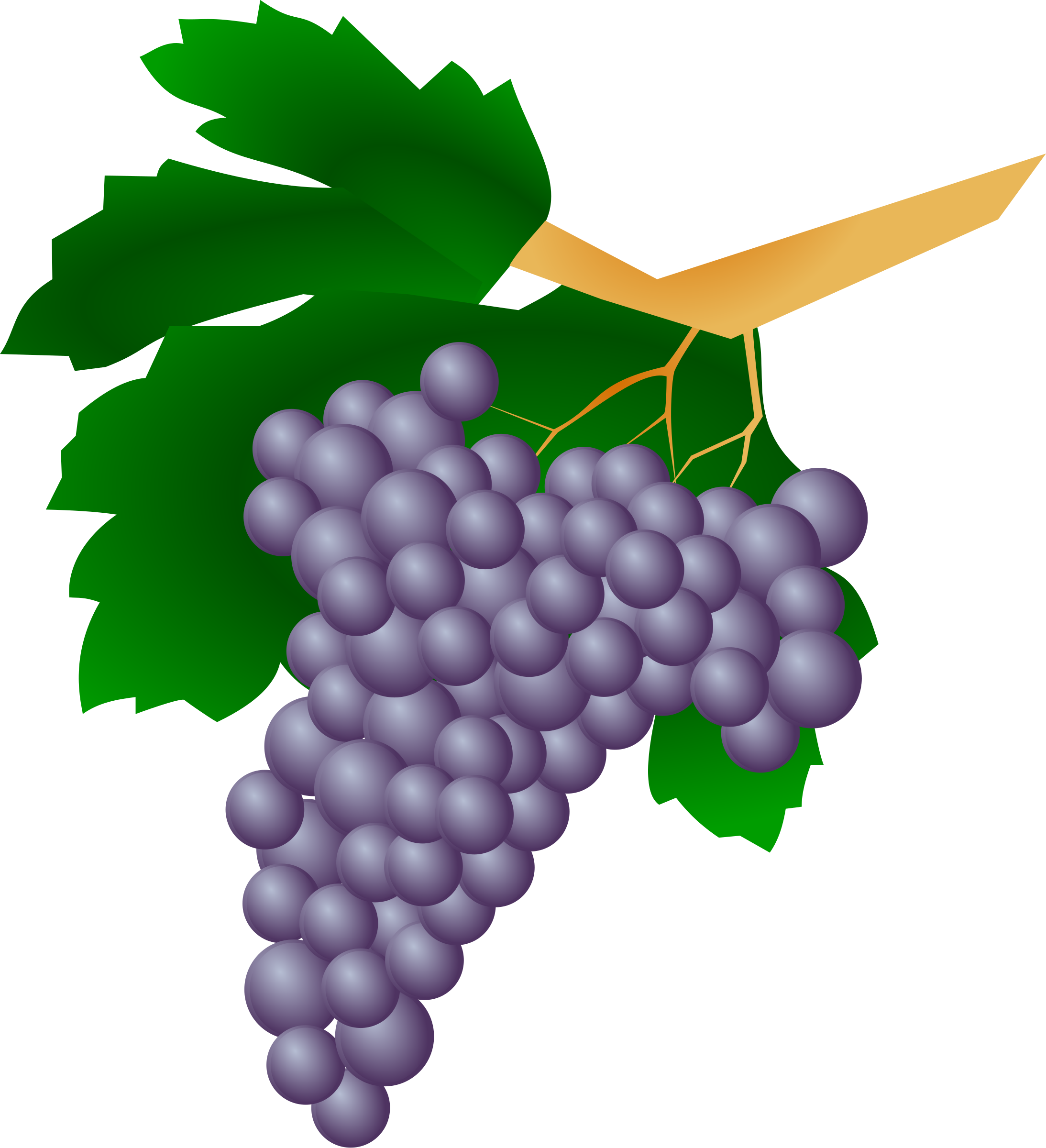 Grape Clip Art - Vine Of Grapes (2187x2400)