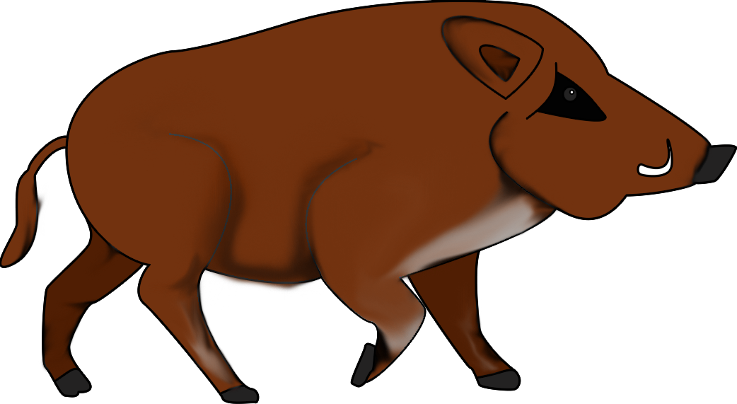 Tiere Des Waldes Das Wildschwein - Wild Boar (1042x571)