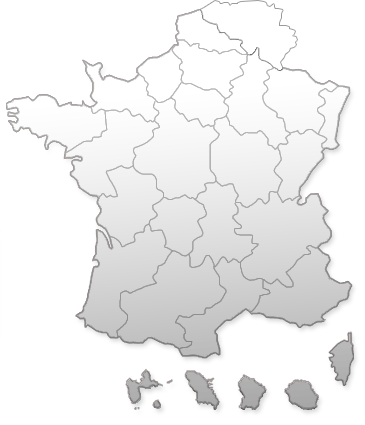 Rechercher Des Occasions Par Région - Skunkwerkz Id Holder Wallet, Country Silhouette France, (365x425)
