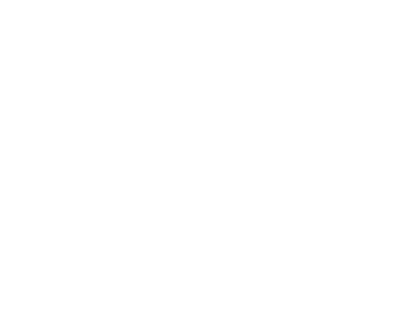 Jyväskylän Paviljonki - Twitter Logo White Vector (555x451)