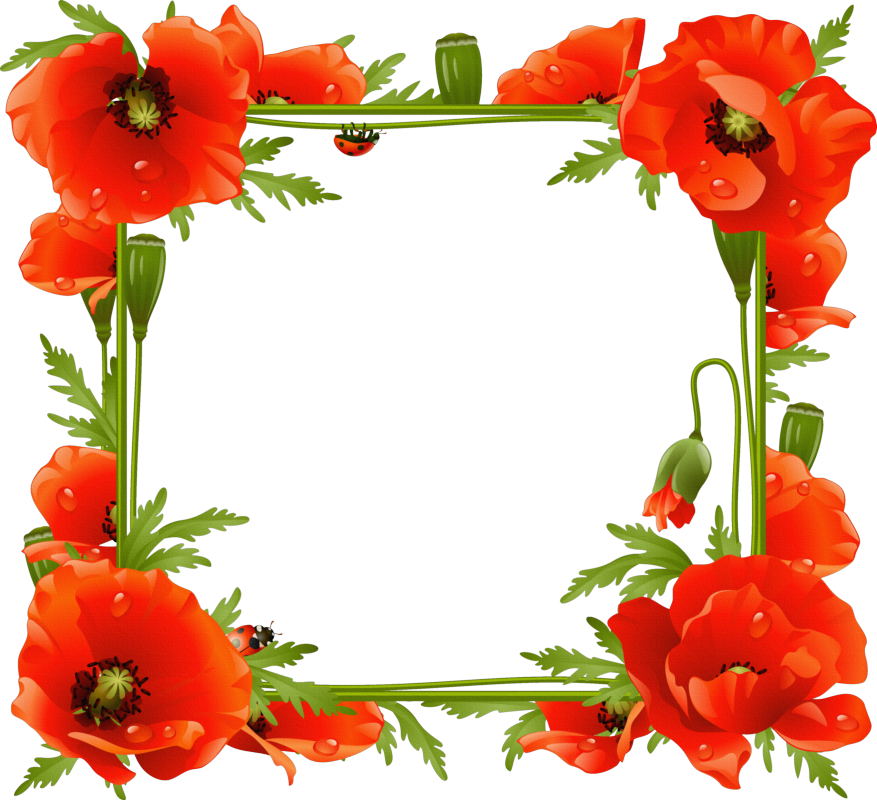 Bordes Para Fotos - Flower Photo Frame Download (877x800)