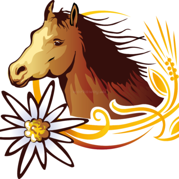 Help Out Around Our Animal Shelter Looking After Old - Icon (367x367)