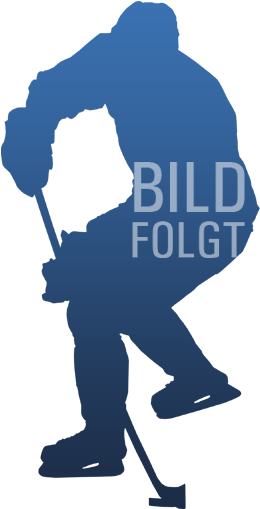 Marcel Brandt - Straubing Tigers (397x519)