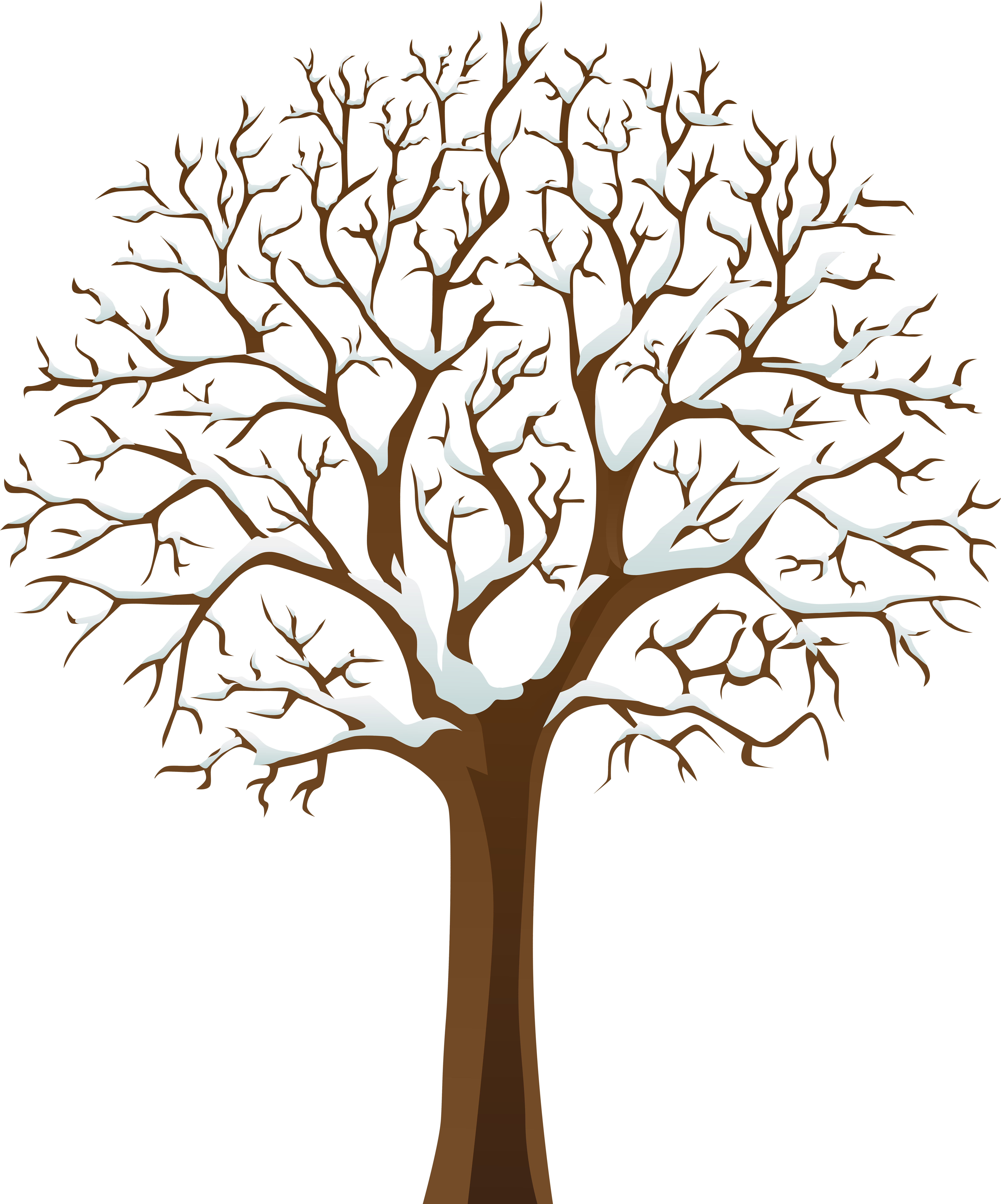 Snowy Winter Tree Transparent Png Image - Snowy Winter Tree Transparent Png Image (6700x8000)
