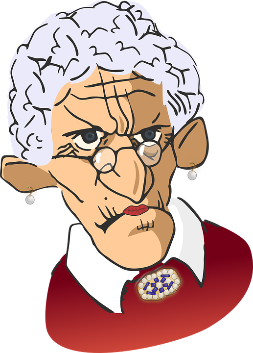 Spinster, Grandmother, Grandma, Stern, Spectacles - Easy Password Journal For Grandma (517x720)