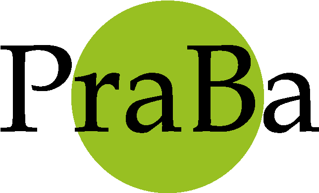 Www - Praba - Fi - Metroplus Health Plan Logo (777x545)