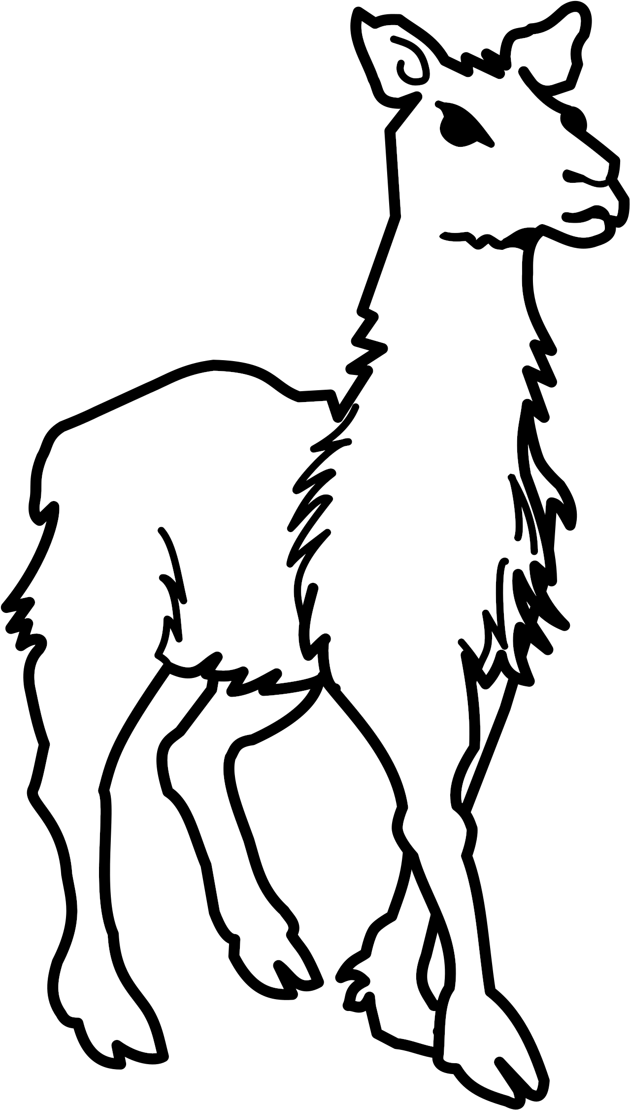 Clipart Llama Lineart - Lama Black And White (1426x2400)