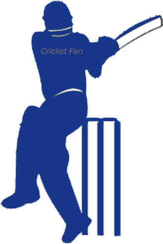 Cricket Fan Massenger - Cricket World Cup 2011 (512x512)