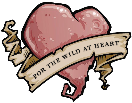 Folgt Mir - Clip Art Metallic Heart Outline Png (544x424)