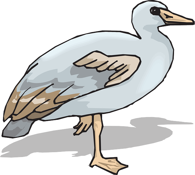 Animal Brown, Blue, Feet, Colors, Wings, Goose, Animal - Clip Art (640x574)