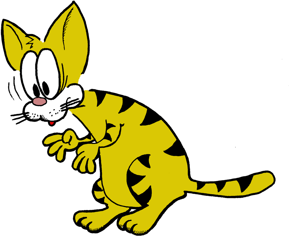 Haustiere Erlaubt - Cat (1080x810)