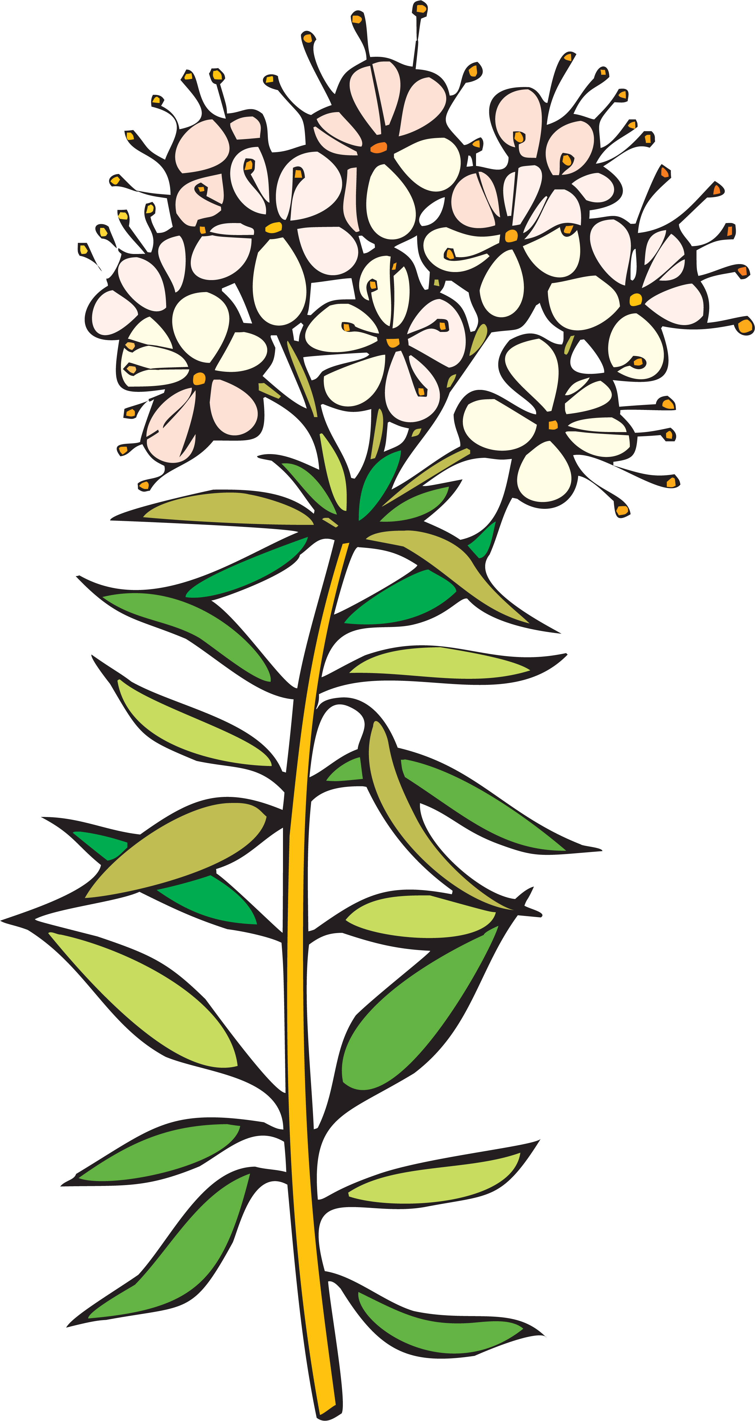 Windows Metafile Computer Icons Download Clip Art - Windows Metafile Computer Icons Download Clip Art (2680x4969)