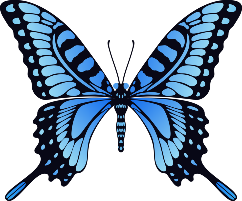 Butterfly Png Image, Free Picture Download Butterflies - Flying Butterfly Animation Gif (979x816)