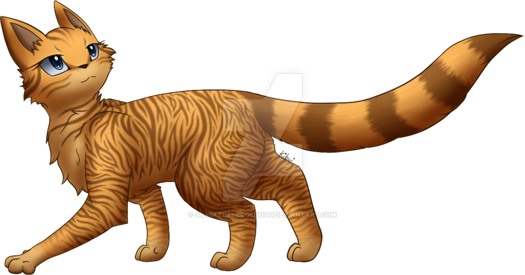 Wichtelgeschenk By Kibui - Tabby Cat (1024x536)