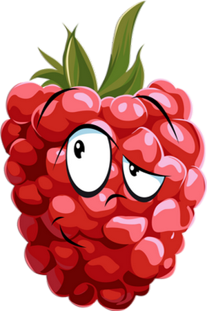 Framboise - Raspberry Drawing (300x450)