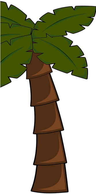 Klick Auf Die Matten Und Es Öffnet Sich Ein Katalog - Palm Tree Clip Art (332x713)