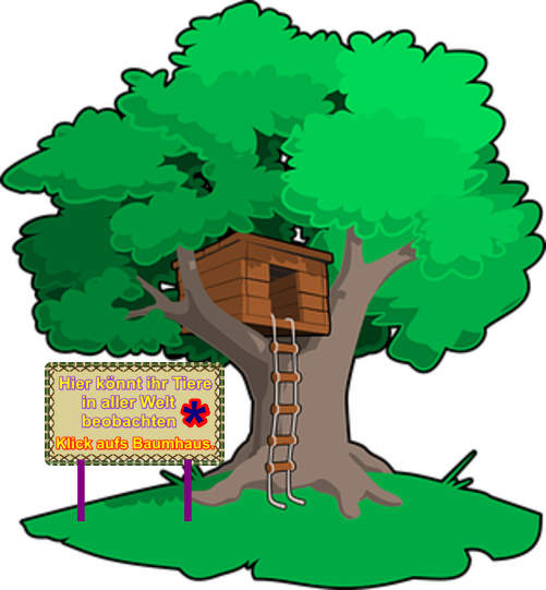Geh Nach Oben Oder Rechts Oder Links - Magic Tree House Treehouse (501x541)