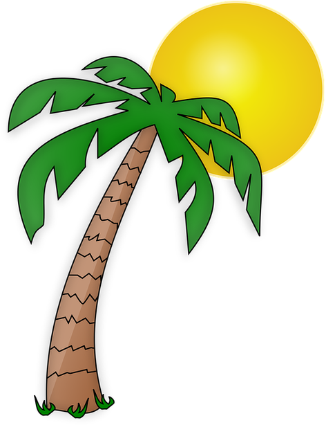 Die Untere Ist Für Mamas - Cartoon Palm Tree (500x634)
