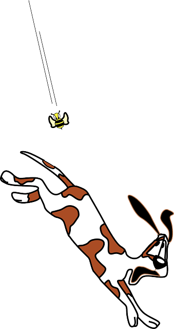 Chasing Angry, Cartoon, Dog, Bee, Running, Pet, Animal, - Stock.xchng (339x640)