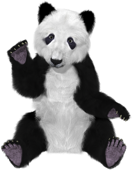 Klick Auf Die Matten Und Es Öffnet Sich Ein Katalog - Panda Bear With Bamboo Illustration Journal [book] (472x597)