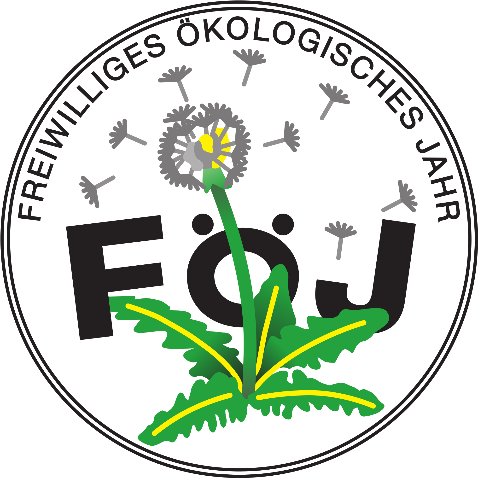 Links - Föj (2000x2000)