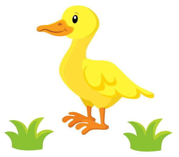 Eine Kleine Ente In Eine Bordüre Oder In Einen Pullover - Duck (921x529)