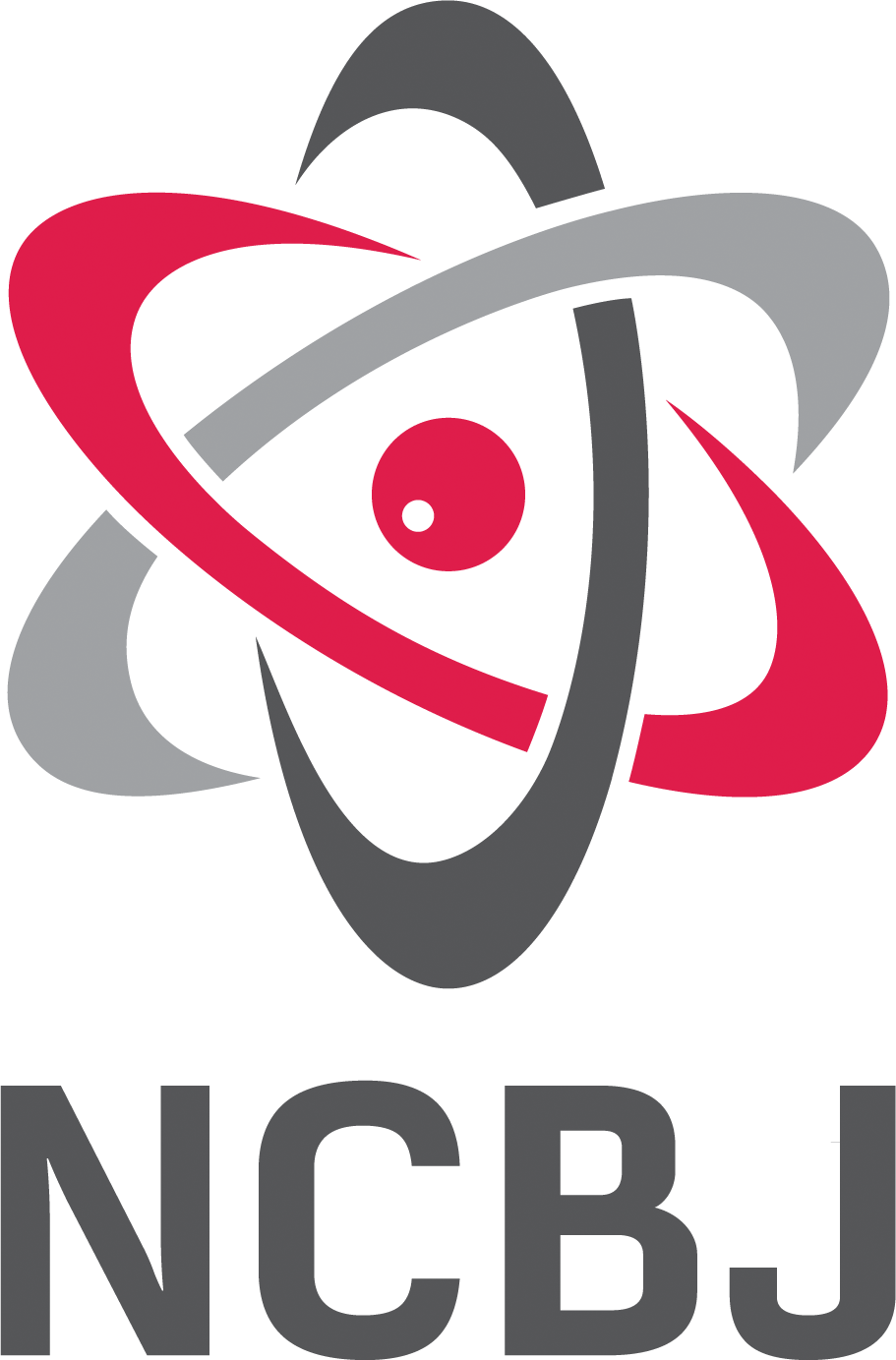 Pion - Rgb - - Ncbj Logo (911x1383)