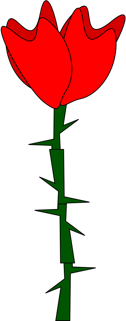 Get Notified Of Exclusive Freebies - Rose With Thorn Clipart (640x1280)