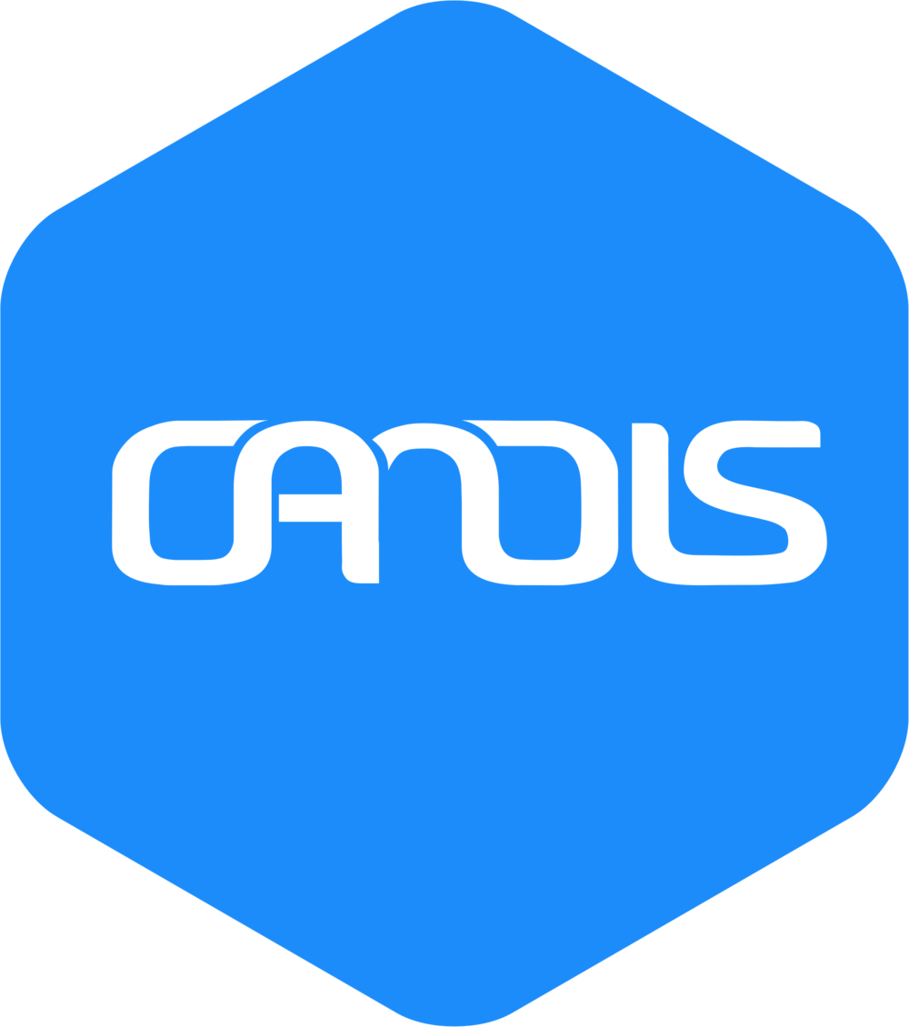 Candis Logo - Candis Accounting (1000x1130)