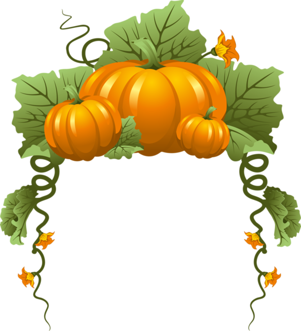 Tubes Halloween - Fall Pumpkins Border (600x659)