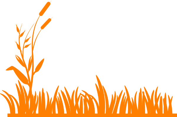 Grass Flat Png (600x396)