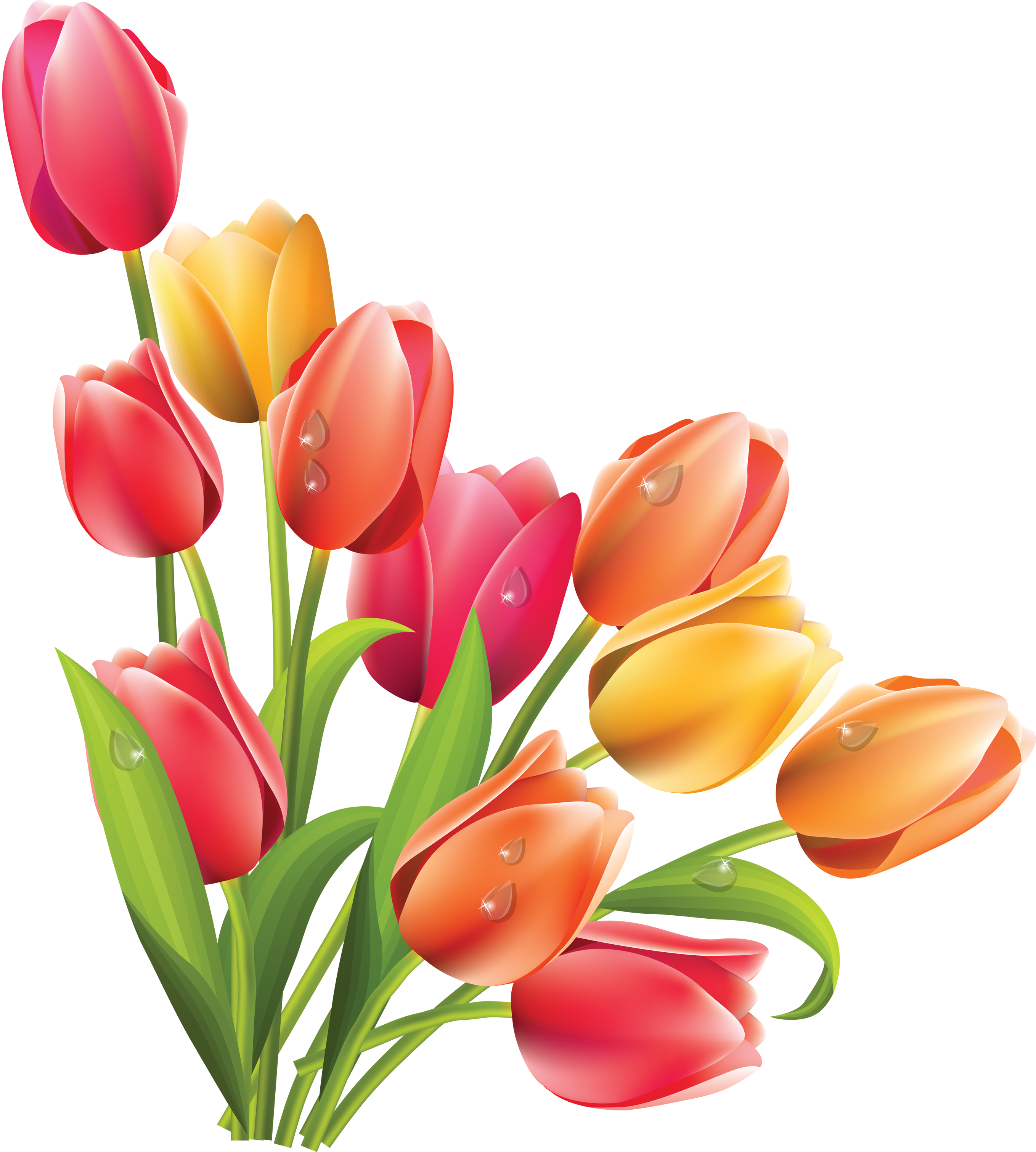 Spring Tulip Vector - Easter Flowers Clipart (2717x3022)
