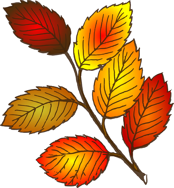 Die Fahrtensaison Ist Nun Bald Vorbei - Leaves Clip Art (595x640)