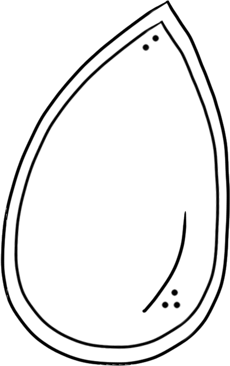 Pumpkin Vine Clipart Black And White Clipart Panda - Pumpkin Seed Clip Art (512x809)