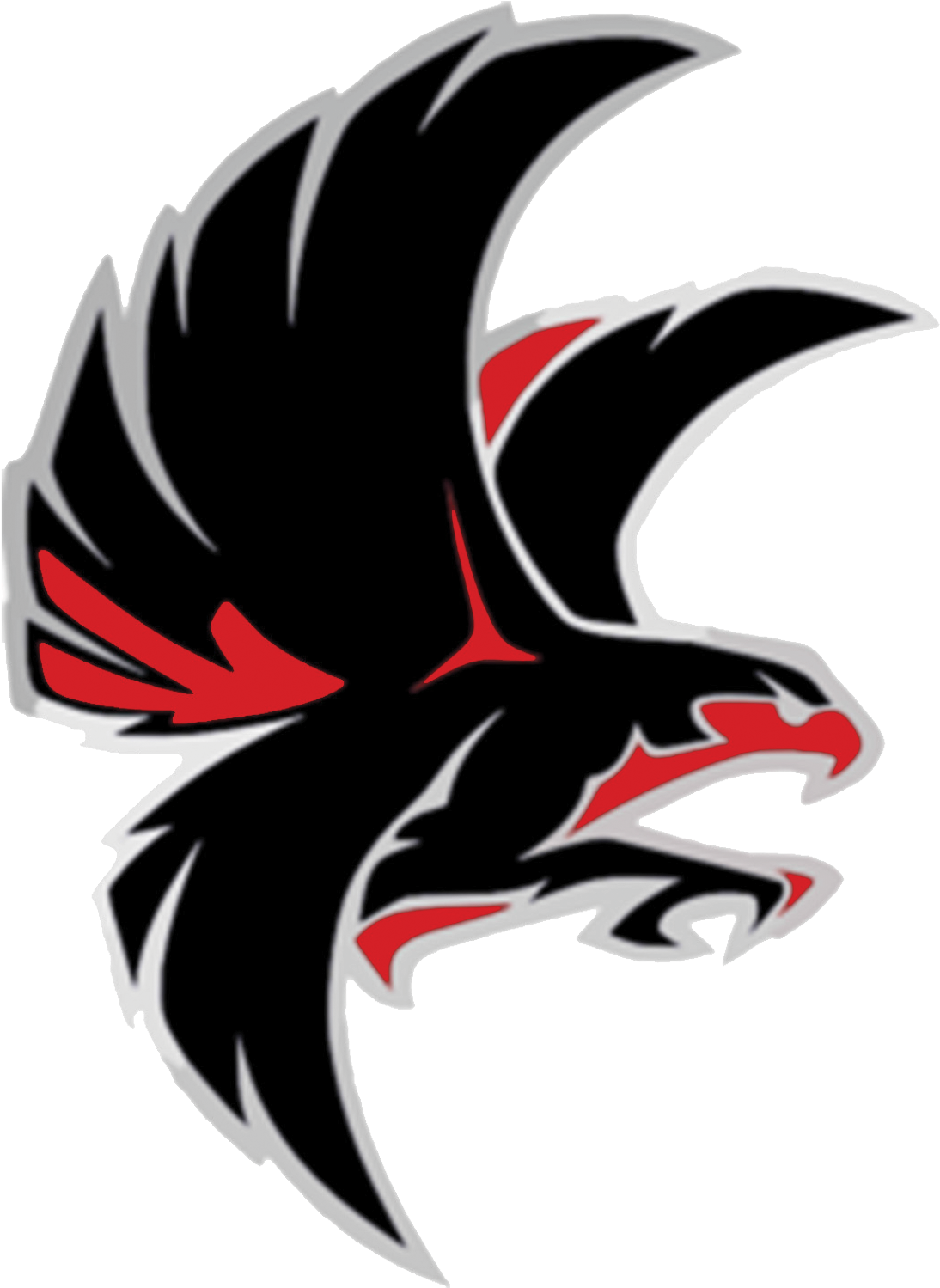 Falcon School Mascot Falcon School - Nation Ford High School (1500x1500)