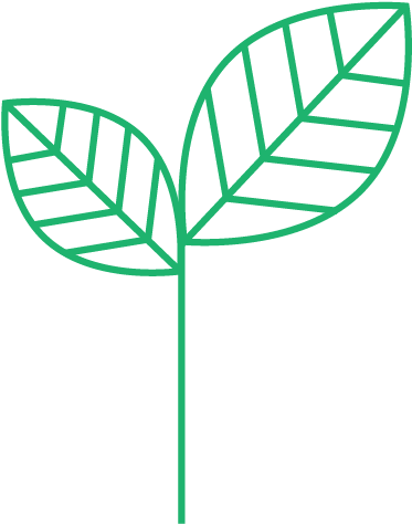 Discover - Vector Graphics (532x588)