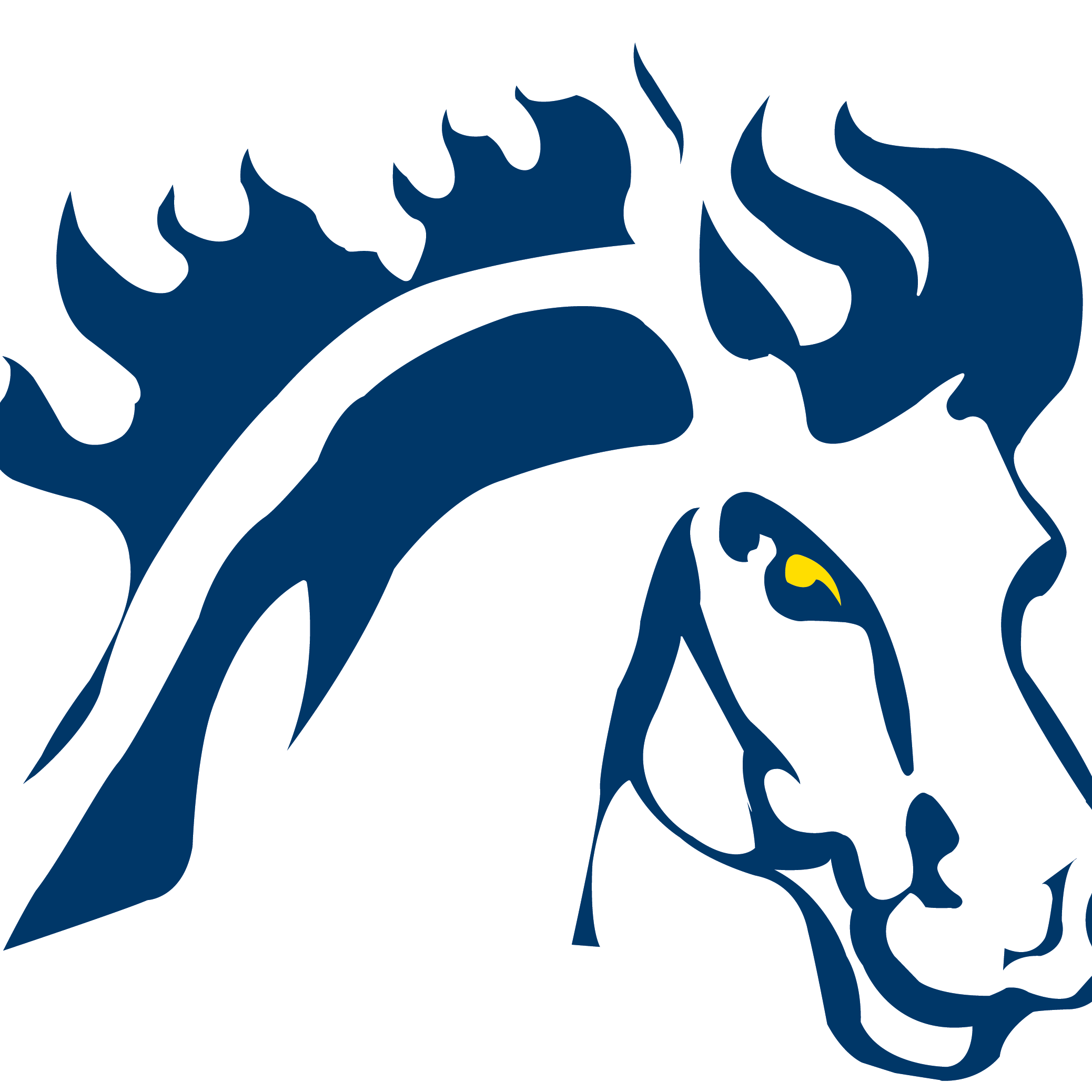 College Basketball Conference & Regional Tournament - Mount Mercy Mustangs Logo (2076x2076)