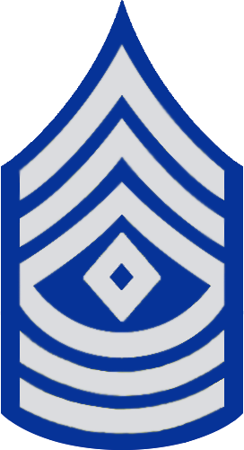State Police First Sergeant - Army First Sergeant Rank (272x501)