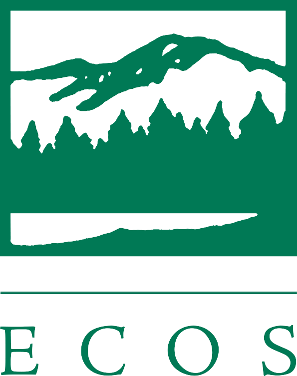 The Environmental Council Of The States - Environmental Council Of The States (595x753)