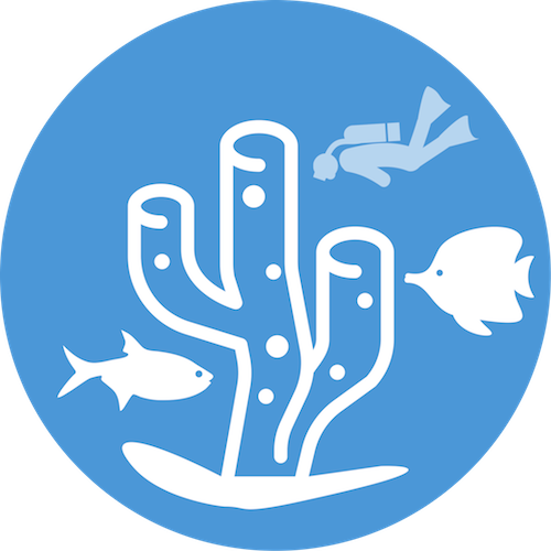 Dive Into The Seas And Oceans - Scuba Diving (500x500)