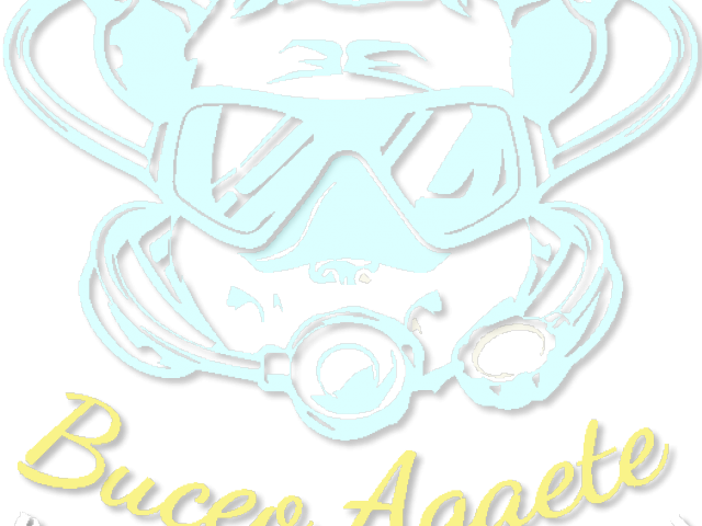Scuba Diver Clipart Bucear - Scuba Diver Clipart Bucear (640x480)