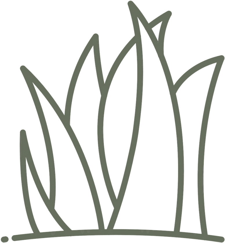 Landscape Design - Grasses (1024x1024)