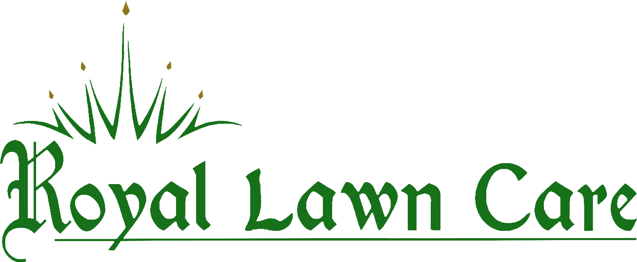 Delaware Eastern Shore Lawn Services Royal Lawn Care - Roxanne Of Dark Energy (1306x538)