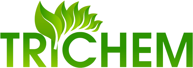 Follow - لوجو المعلمون اولا (800x335)