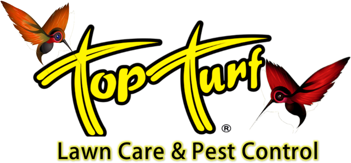 Old Top Turf Logo - Top Turf (1200x686)